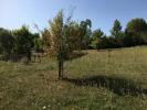 For sale Land Abzac  33230 410 m2