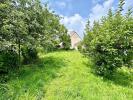 Land SAINT-THIBAULT-DES-VIGNES 