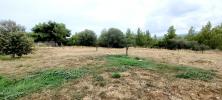 For sale Land Palme  11480 840 m2