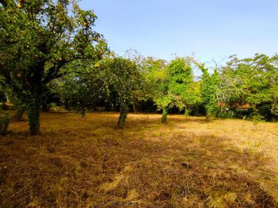 photo For sale Land SAINT-JULIEN-L'ARS 86