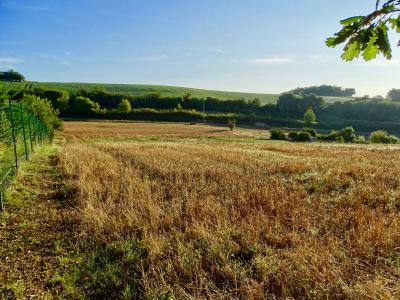 For sale Land CAZAUX-SAVES  32