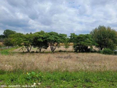 photo For sale Land LINARS 16