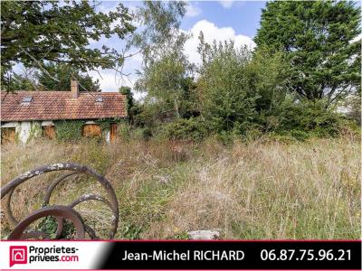 photo For sale House MUR-DE-SOLOGNE 41