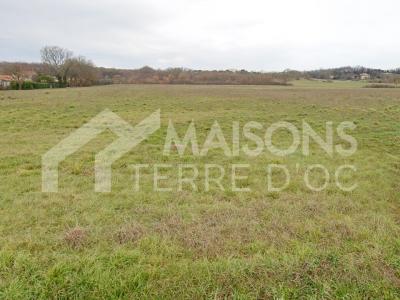 Vente Terrain PLAISANCE-DU-TOUCH  31