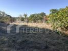 Vente Terrain Pompertuzat  31450 550 m2