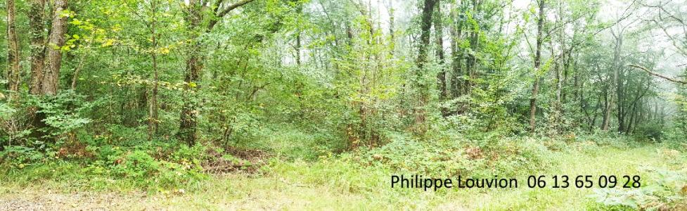 photo For sale Forested aera DURAS 47