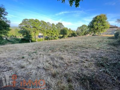 photo For sale Land TENCE 43