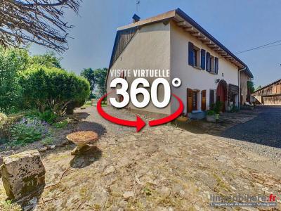 photo For sale House REMOMEIX 88