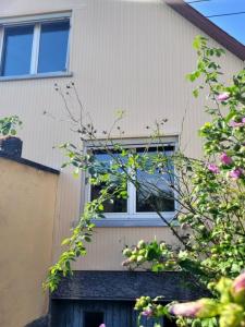 photo For sale House HAGUENAU 67