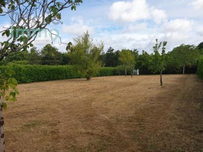 Vente Terrain NIORT 79000