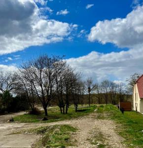 Vente Maison DAMBENOIS 