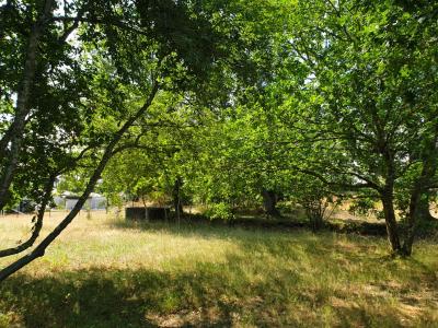 photo For sale Land TEMPLE 33