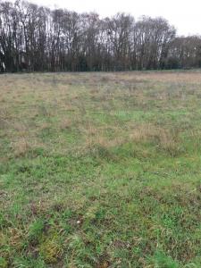 photo For sale Land BELLEBAT 33