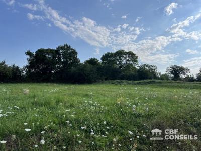 For sale Land SAINT-SERNIN-DU-BOIS  71