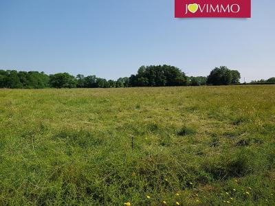 photo For sale Land SAINT-PIERRE-LE-CHASTEL 63