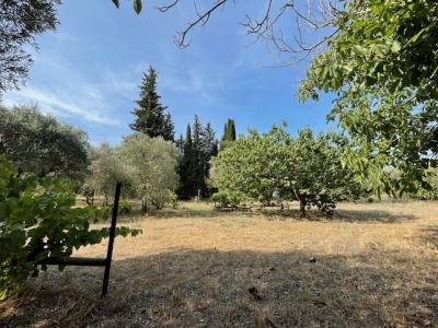 photo For sale Land MALLEMORT 13