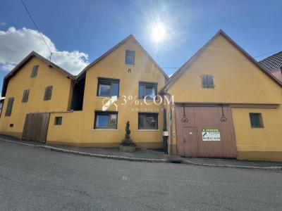 photo For sale House BERSTHEIM 67