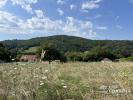 Land SAINT-SERNIN-DU-BOIS 