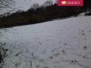 Acheter Terrain Saint-pierre-le-chastel 66000 euros