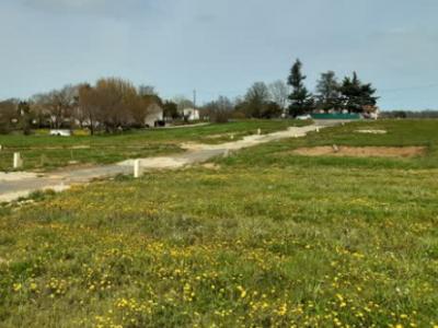 photo For sale Land DAIGNAC 33