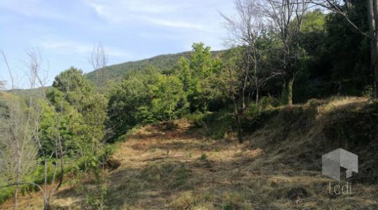 For sale Land SAINT-PAUL-LA-COSTE  30