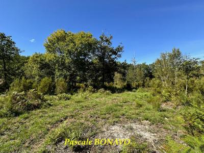 photo For sale Land VENDAYS-MONTALIVET 33