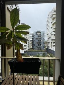 Vente Appartement 2 pices VILLEURBANNE 69100