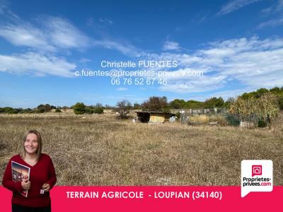 Vente Terrain LOUPIAN 34140