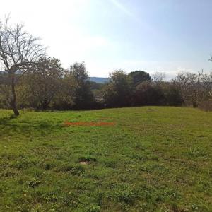 photo For sale Land SAINT-PANTALEON-DE-LARCHE 19