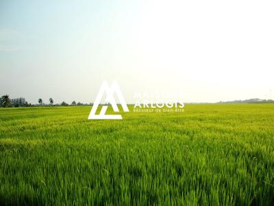 photo For sale Land AUBERCHICOURT 59