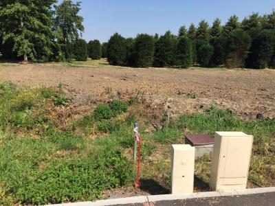 For sale Land JOLIMETZ  59