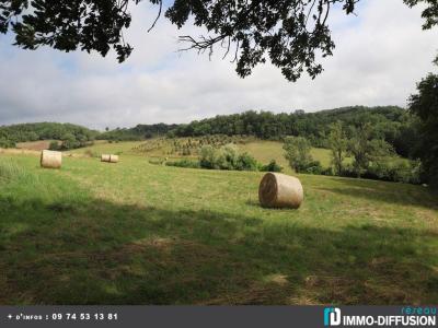 photo For sale House MIREPOIX 09