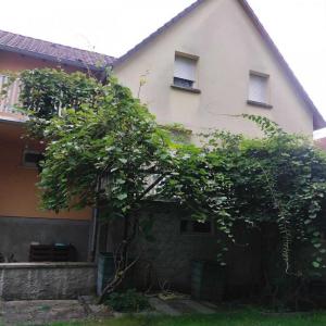 photo For sale House SELESTAT 67