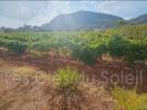 For sale Land Brignoles  83170 450 m2