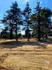 Acheter Terrain Narbonne 181500 euros