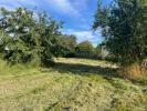 Annonce Vente Terrain Montaigut-sur-save