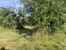 Acheter Terrain Montaigut-sur-save 135000 euros