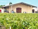 Acheter Domaine agricole Saint-seurin-de-cadourne 4240000 euros