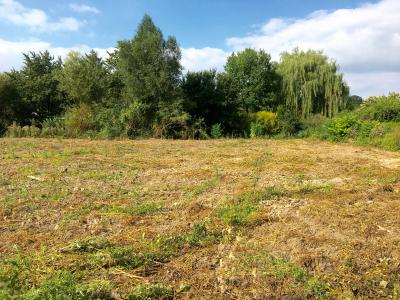 photo For sale Land DEMUIN 80