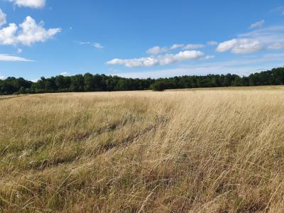 photo For sale Land CAMBLANES-ET-MEYNAC 33