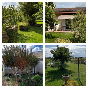 Location Maison 3 pices SAINT-ESTEPHE 33180