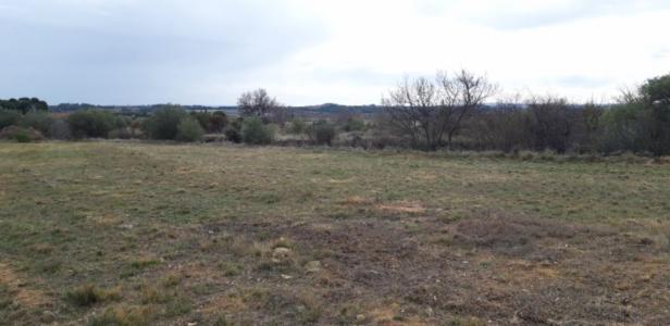 Vente Terrain MAILHAC 11120