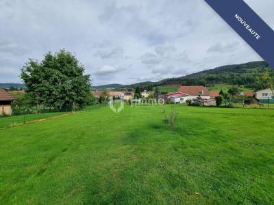 Vente Maison PLAINFAING  88