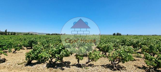 photo For sale Land PALME 11