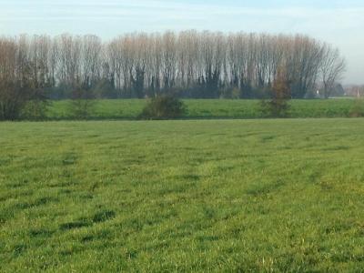 For sale Land MAUBEUGE  59