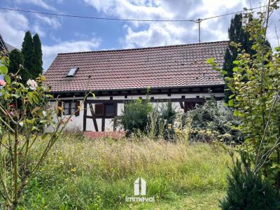 Vente Maison SURBOURG  67