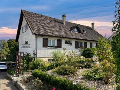 Vente Maison AILLANT-SUR-THOLON  89