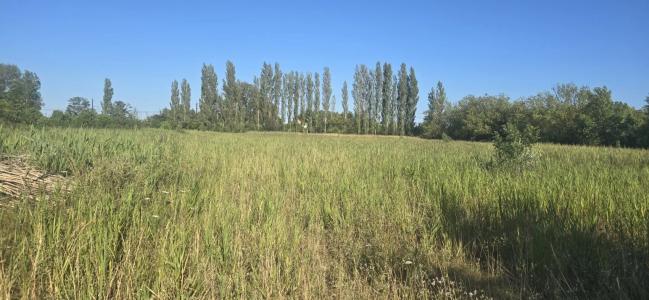 photo For sale Land NARBONNE 11