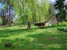 Annonce Vente Terrain Sentheim