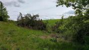 Acheter Terrain Sainte-christie 38000 euros